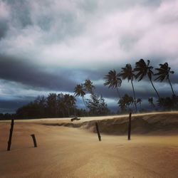 Trees on landscape against cloudy sky