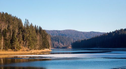 Scenic view of lake by trees against clear sky