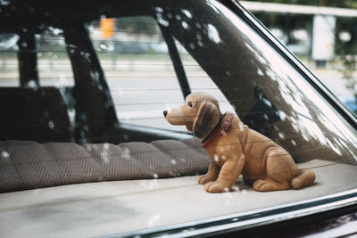 Close-up of dog toy in car