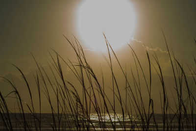 Scenic view of sunset over sea