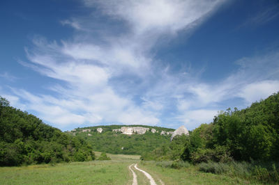 Road amidst trees against sky