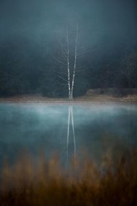 Reflection of bare tree on lake against cloudy sky