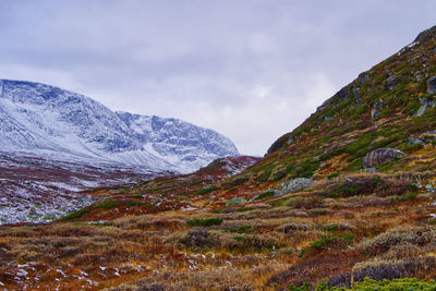 The snow-covered peak is juxtaposed with the fall-colors of the nearer hillside