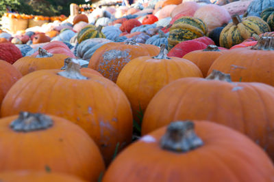 Pumpkins for sale at market stall