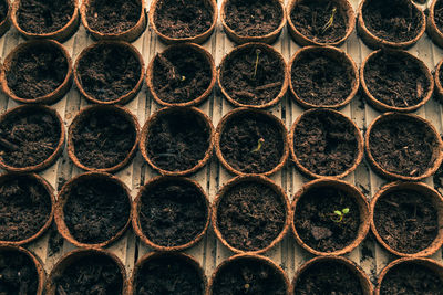 Full frame shot of potted plants