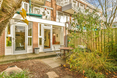 Plants growing outside house