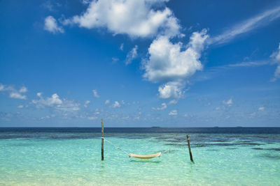 Beautiful coral reef sea of the maldives in the indian ocean