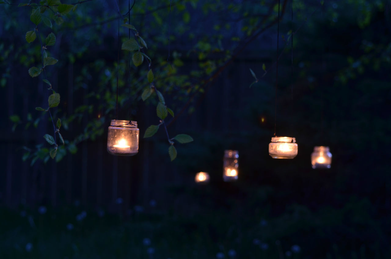 ILLUMINATED LIGHTING EQUIPMENT ON TREE AT NIGHT