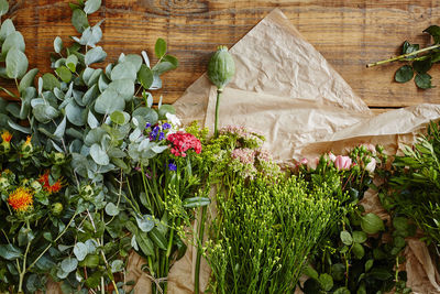 High angle view of white flowering plants