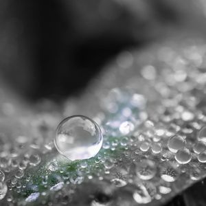 Close-up of water drop on leaf