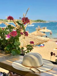 Close-up of flowers on beach against clear sky