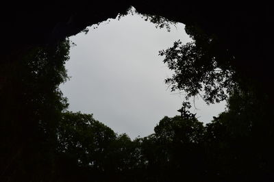 Low angle view of silhouette trees against sky