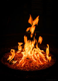 Close-up of bonfire at night