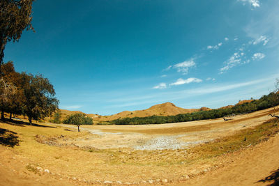 Scenic view of landscape against blue sky