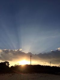 Low angle view of silhouette plants against sky during sunset