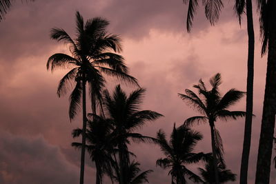 Low angle view of silhouette palm trees against romantic sky