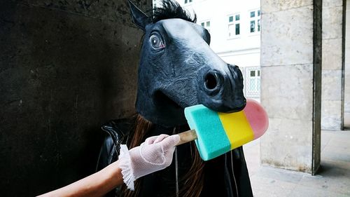 Close-up of hand feeding horse