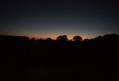 Silhouette of trees at sunset