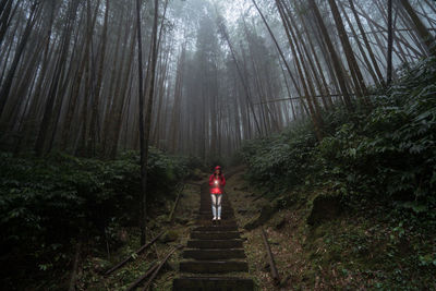 Rear view of man standing on staircase in forest