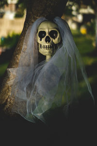 Close-up of human skull and veil on field at night