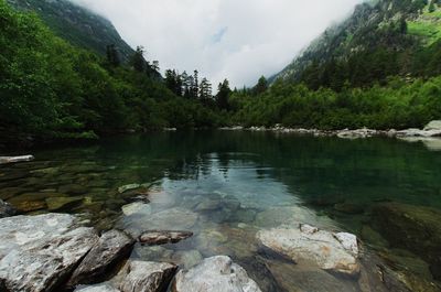 Scenic view of lake in forest against sky