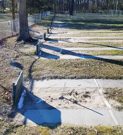 Shadow of tree on grass