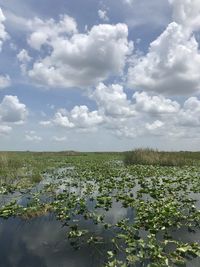 Scenic view of lake against cloudy sky