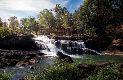 Scenic view of waterfall in forest