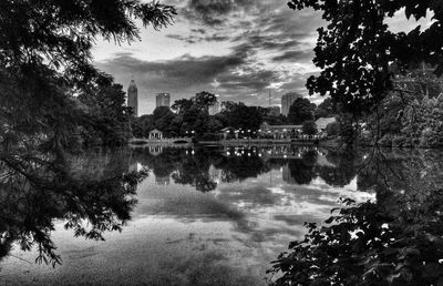 Reflection of trees in water