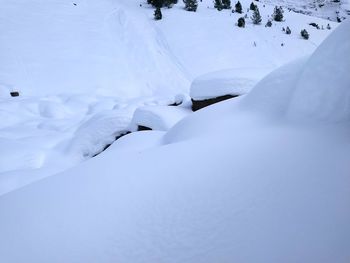 Close-up of snow covered land