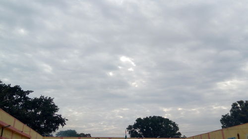 Low angle view of trees against sky