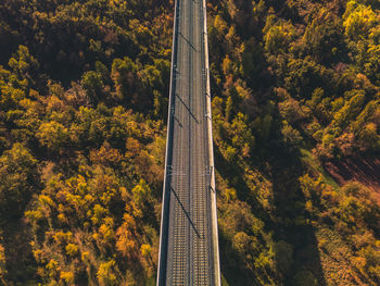 Panoramic aerial view of the high-speed railway and the surrounding forest