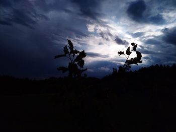 Silhouette of jumping at sunset