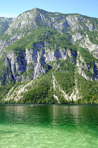 Scenic view of river in forest against sky