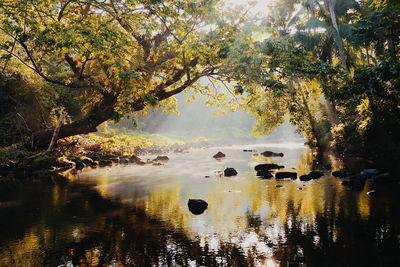 Scenic view of lake