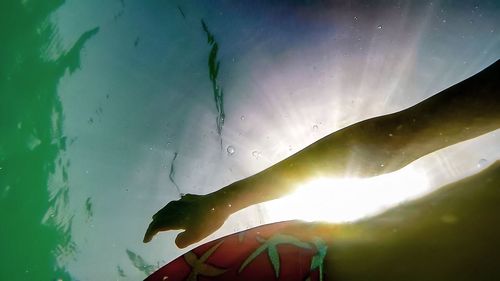 Reflection of trees in water