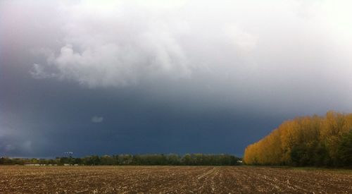 Scenic view of field against sky