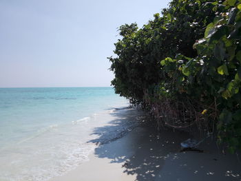 Scenic view of sea against clear sky