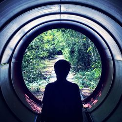 Rear view of man looking through trees in tunnel