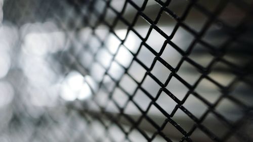 Close-up of chainlink fence