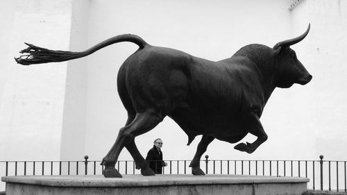 Horse standing by railing against sky