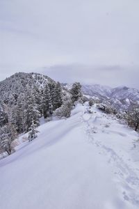 Scenic view of snow covered landscape against sky