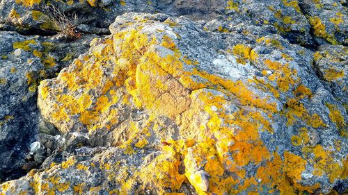 Full frame shot of yellow rock