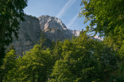 View of nazional park of triglav in slovenia