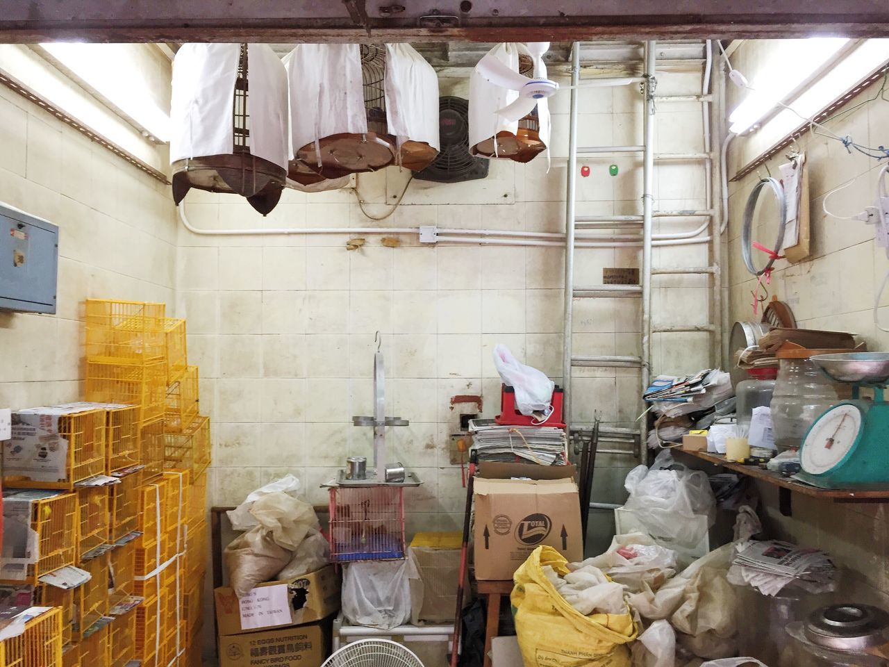 HongKong bird market birds Chinese shop photojournalism