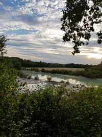 nature