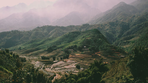 High angle view of agricultural landscape