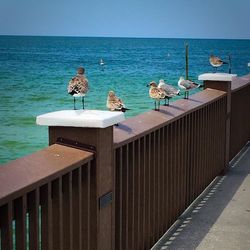 Scenic view of sea against blue sky