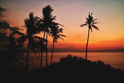 Silhouette palm trees on beach against sky at sunset