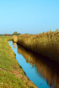 Scenic view of lake against clear blue sky